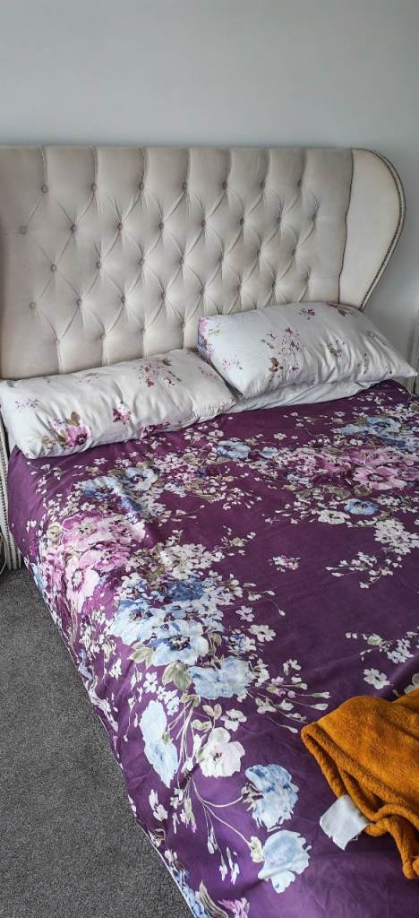 Luxury bird for a fair price 