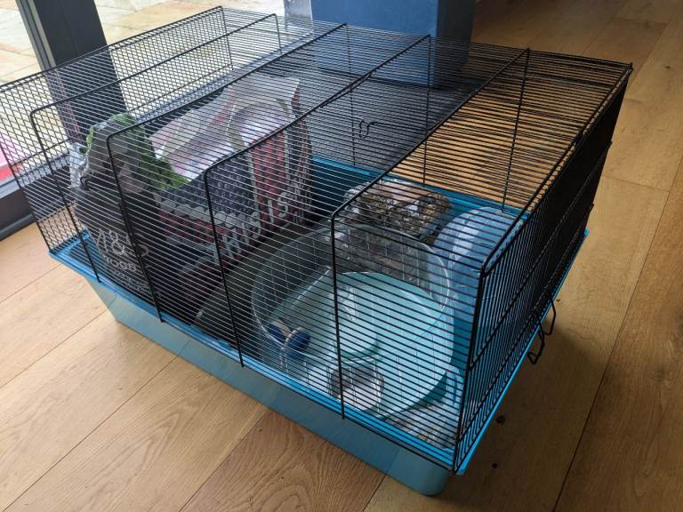 Hamster/gerbil cage and all accessories to get started