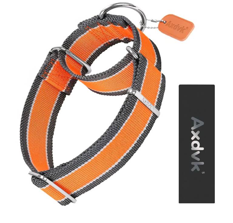 Axdvk Nylon Martingale Dog Collar 1600D Heavy Duty Escape Proof Size Large - Orange/Grey.