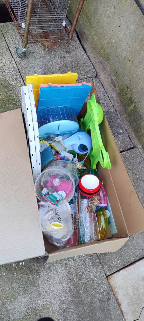 FREE hamster toys 