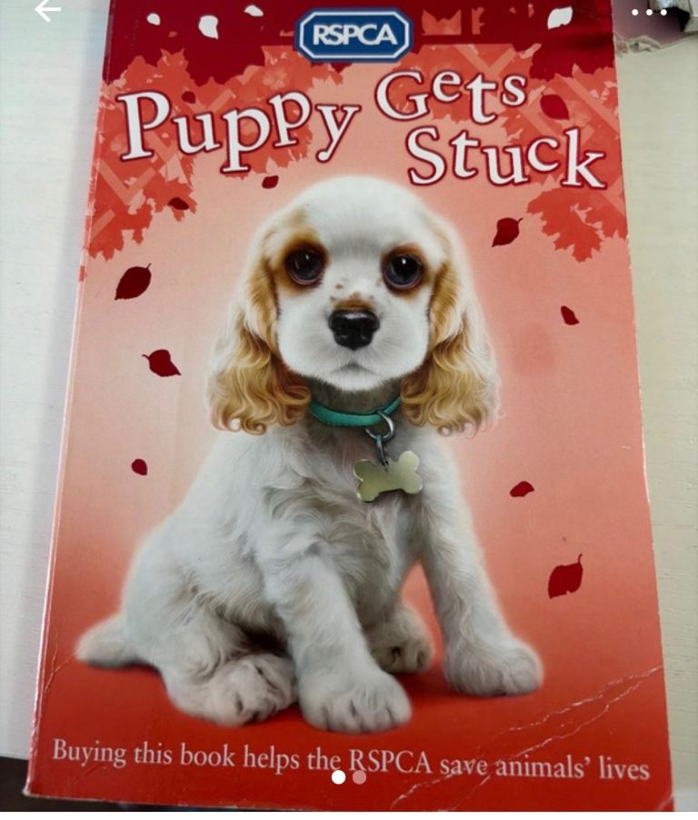 Kids Story Books - Puppy, Pikachu, Invisible Dog & More