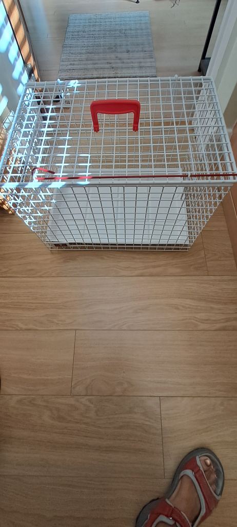 Small pet carrier