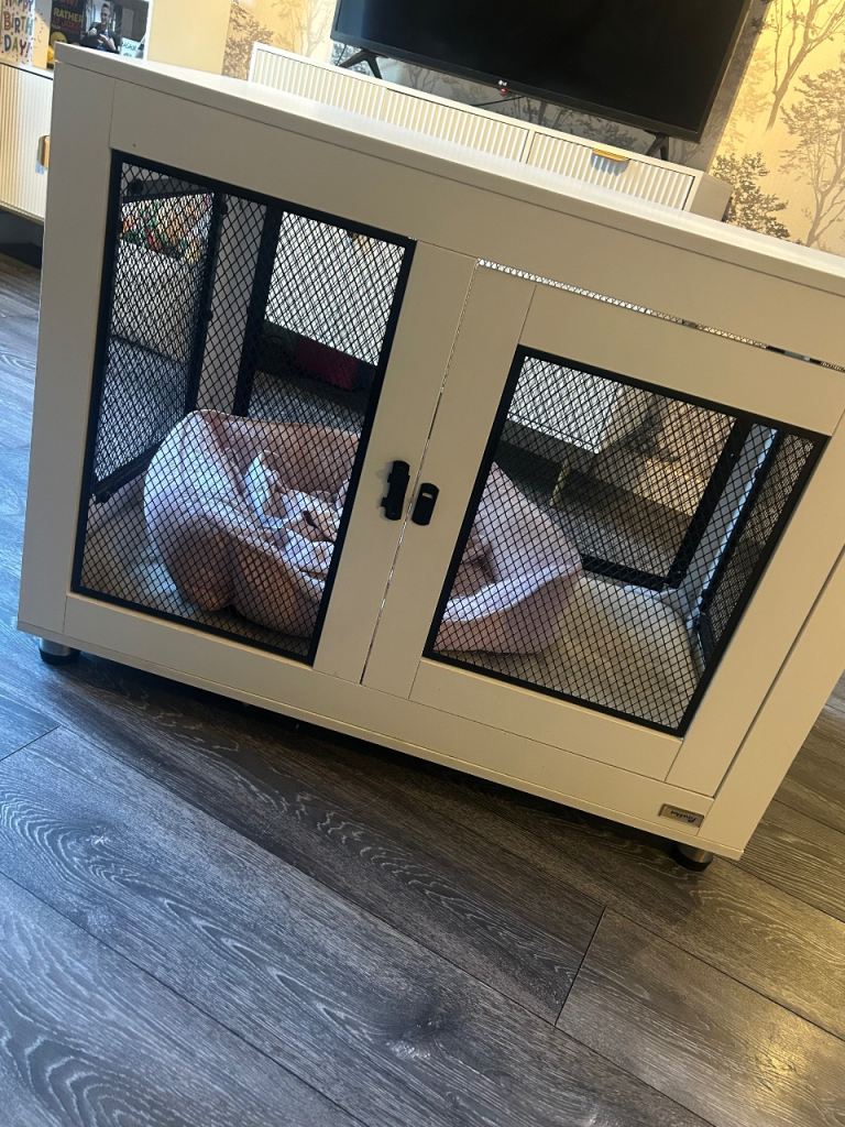 Pawhut dog crate 