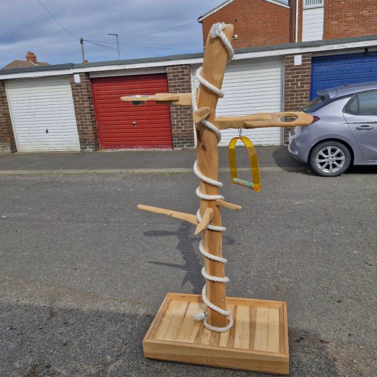 Parrot stand
