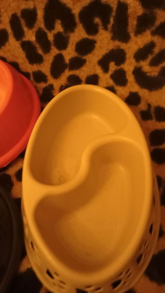 Dog bowl s good condition £5