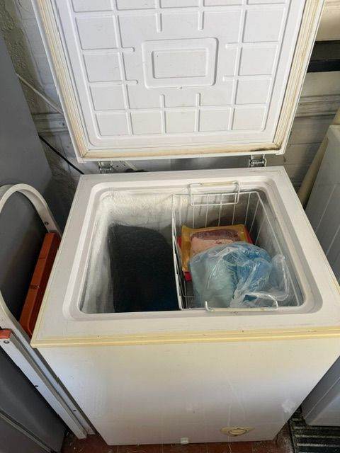 Chest Freezer