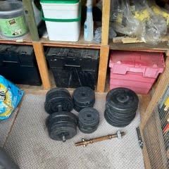 weights and dumbbells And bench