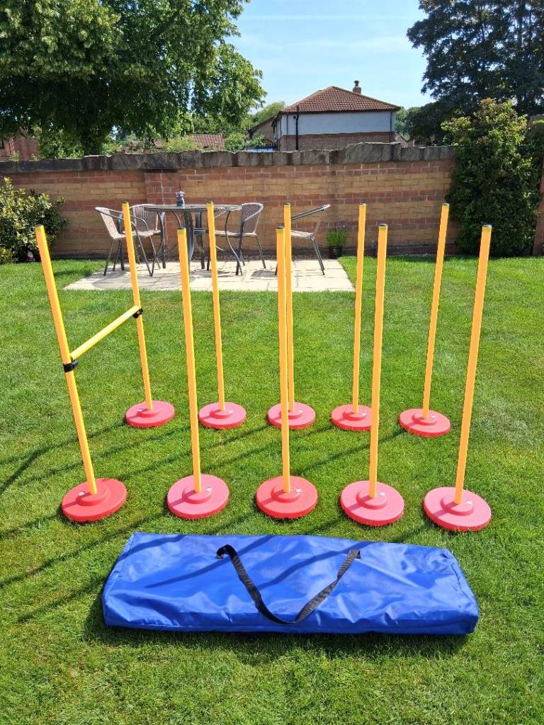 Dog agility training equipment 