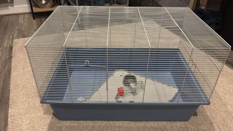 Cage for small animals 