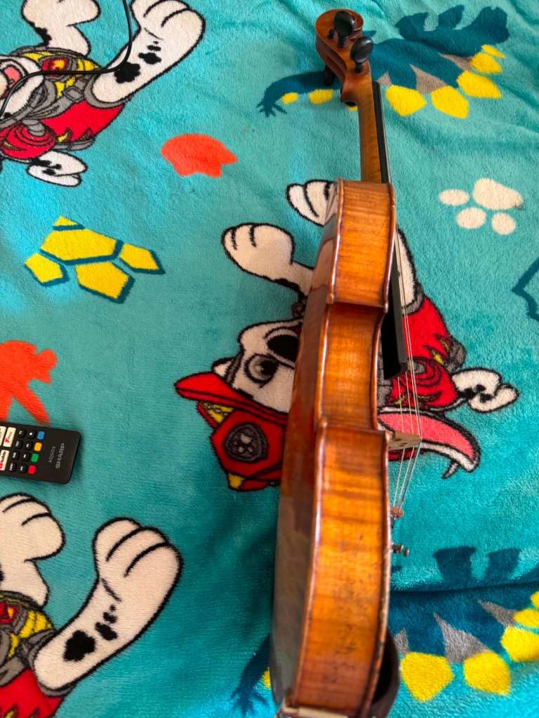 Violin
