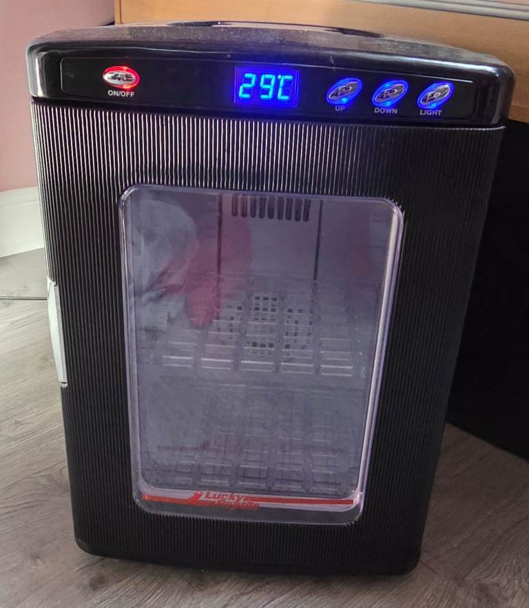 Reptile egg incubator