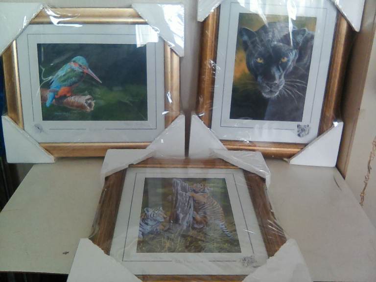 Osborne and Allan ltd, 3 Stephen Gayford Artist prints,(Kingfisher, Be careful,My turn next,).