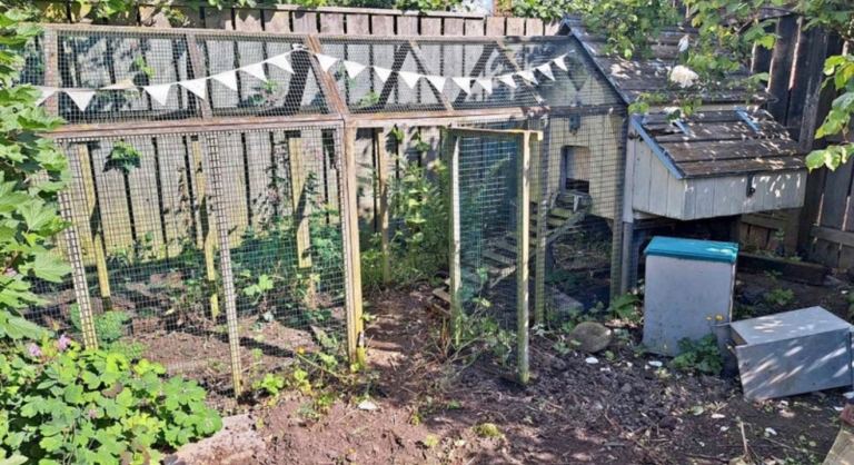 Flyte so fancy chicken coop 