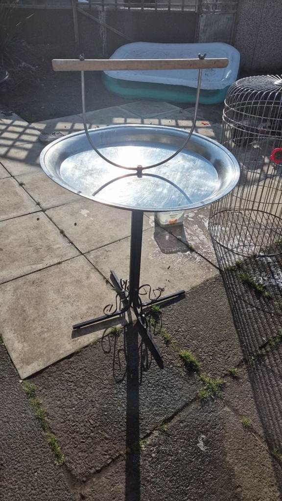 Bird cage 