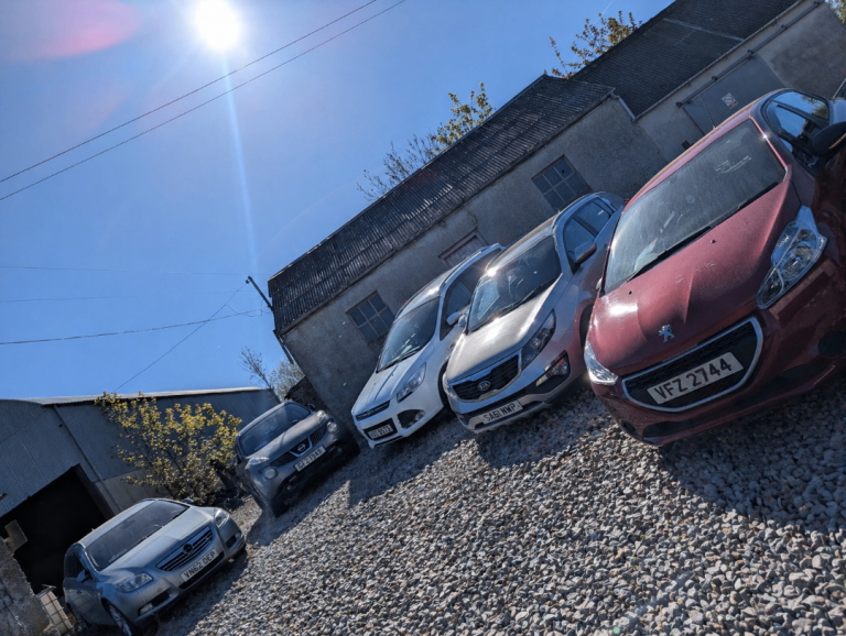 Selection of used cars 