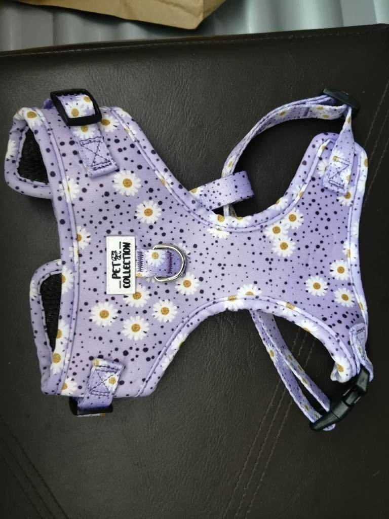 Dog Harnesses x 2.   Small.  NEW