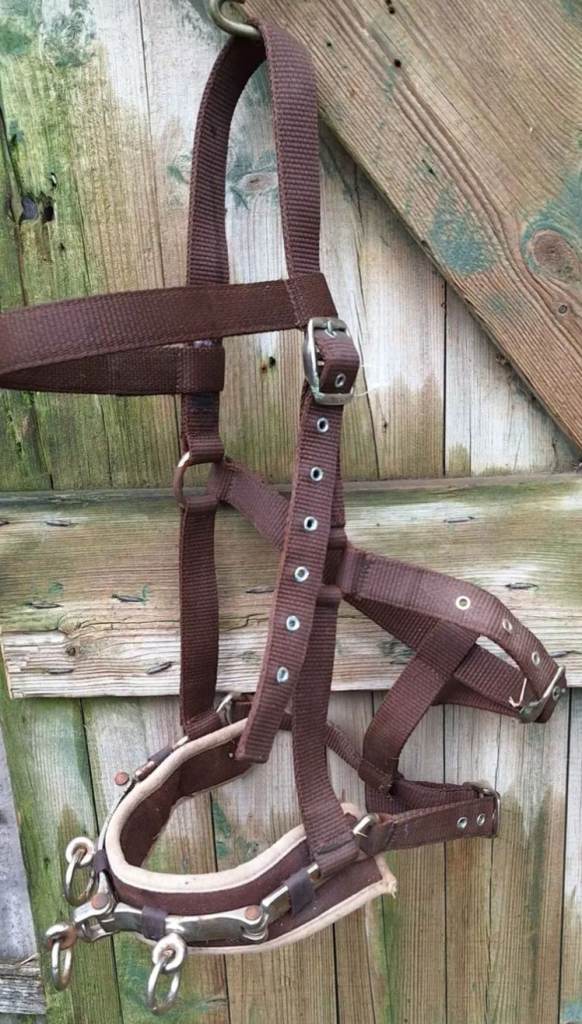 Brown Horse Headcollar - Good Condition, Ready to Use