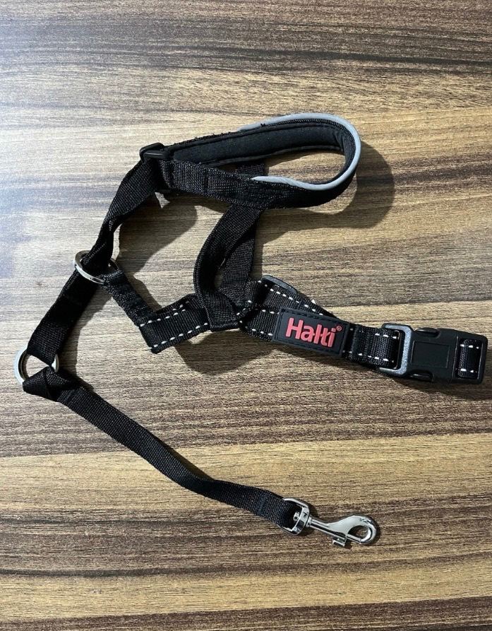Dog headcollar Halti 