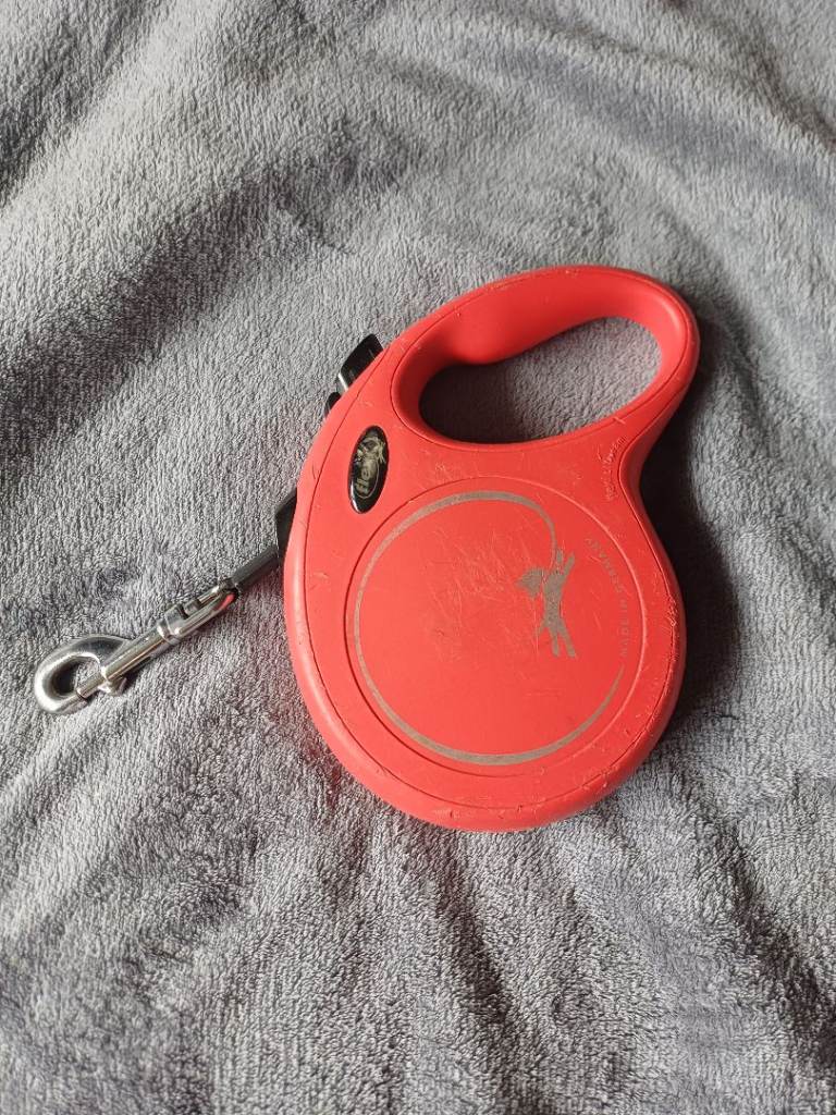 Flexi Dog Lead