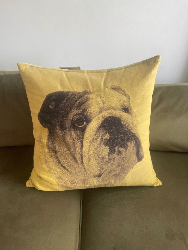 Extra Large Bulldog Cushion