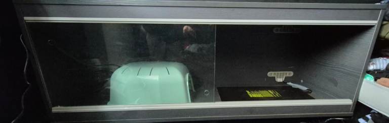 Vivaruims