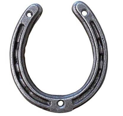 Wanted - 10ish Horse Shoes