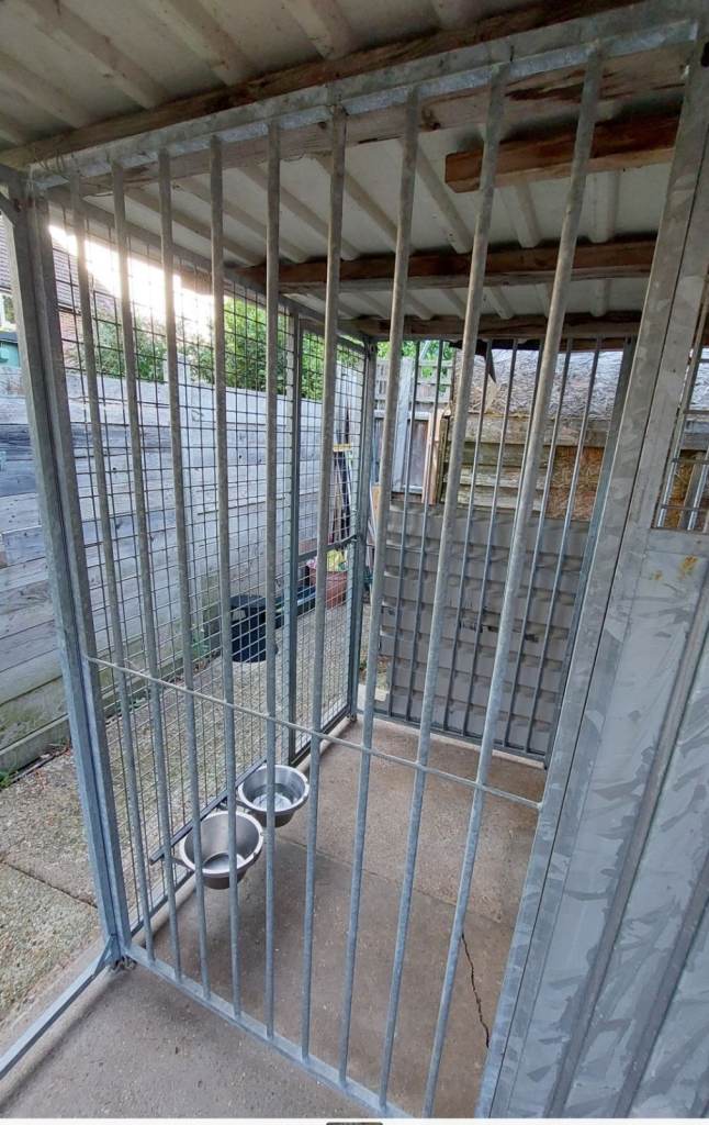 Large outdoor galvanised metal dog kennel run with roof