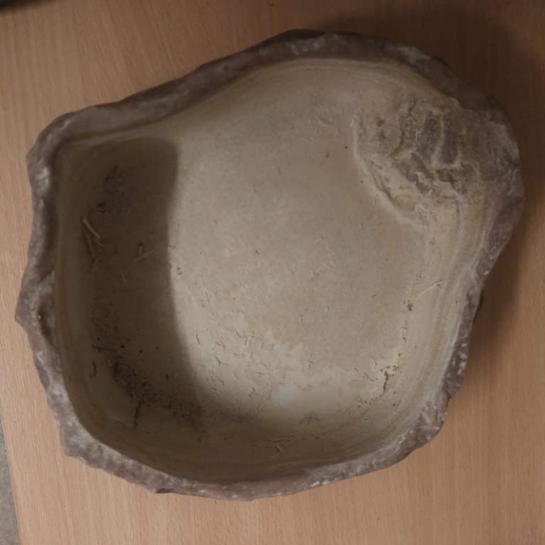 4ft Vivarium with accessories