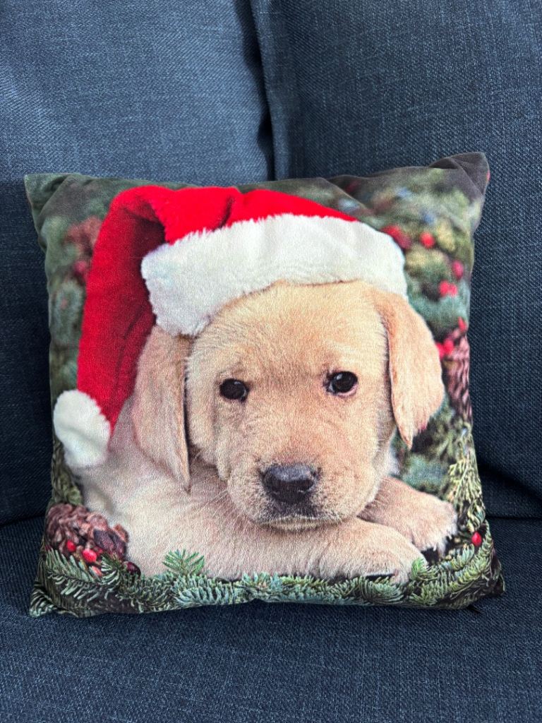 Cute velvet labrador cushion from M&S 