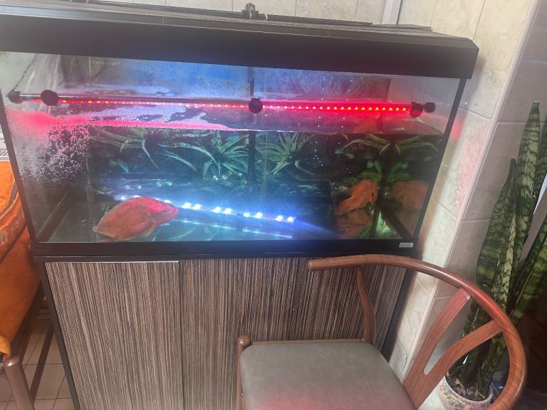 Large Complete Aquarium Fish Tank + Stand Full Setup £100