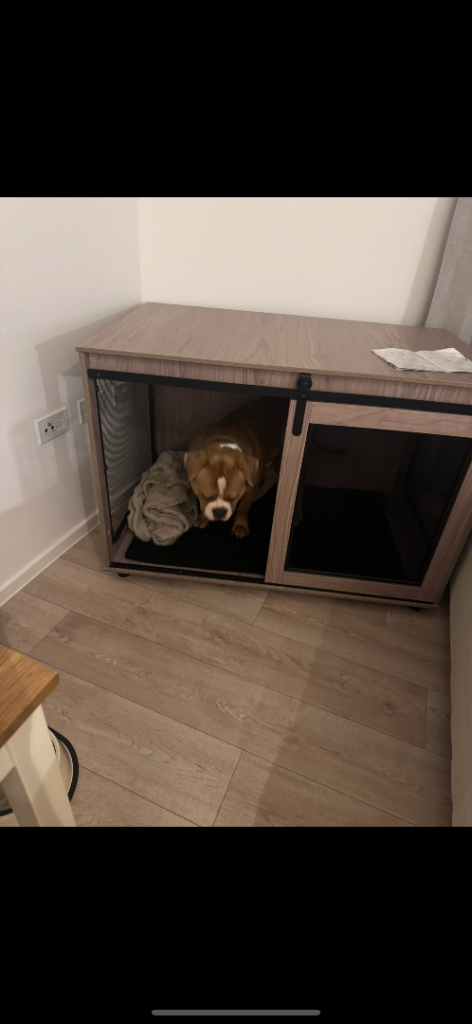 Dog furniture crate for xl dogs