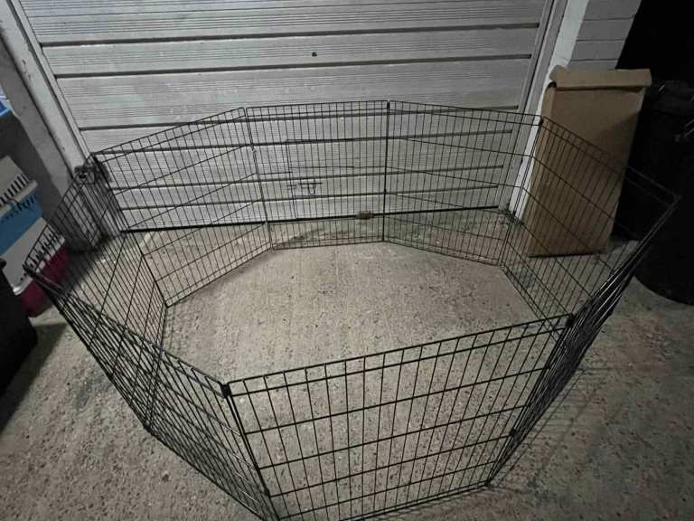 Small Animal Run (Black Metal)