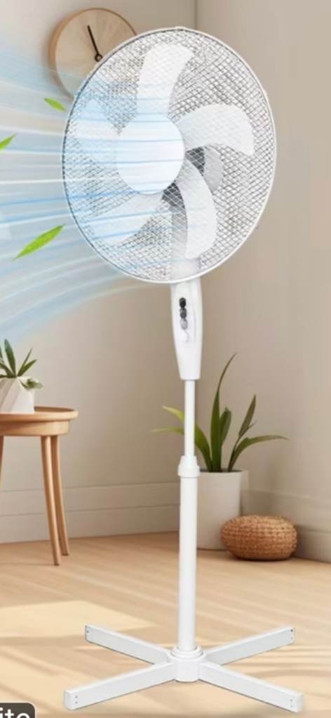 Fan