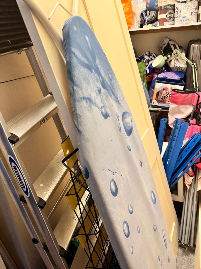 FREE: Edwardian 5 panel cupboard door and Brabantia ironing board