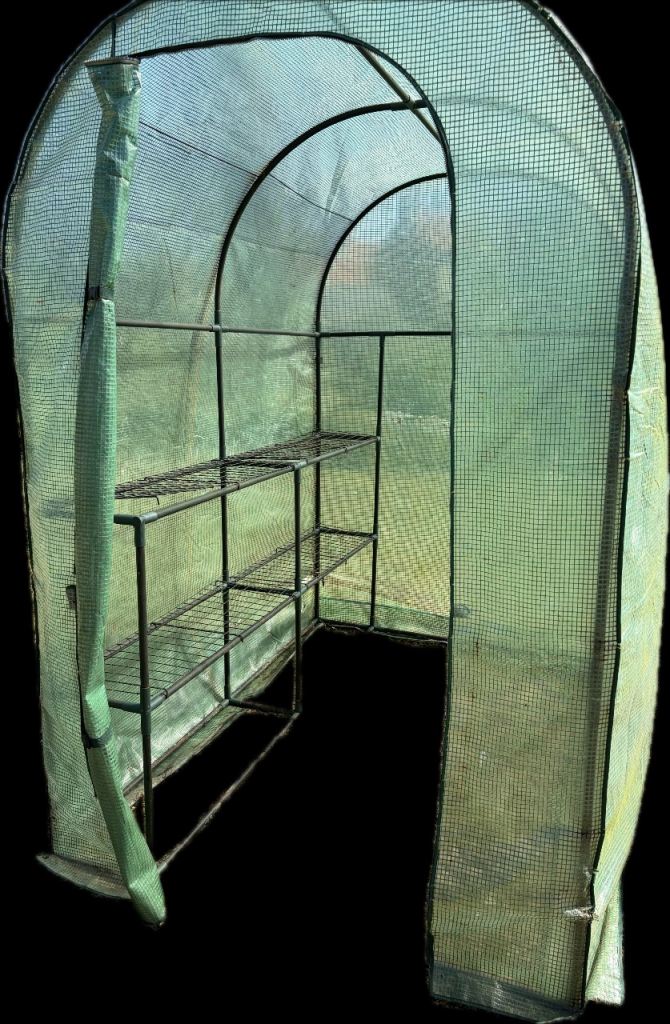 Greenhouse, 6 x 4, 2 shelves