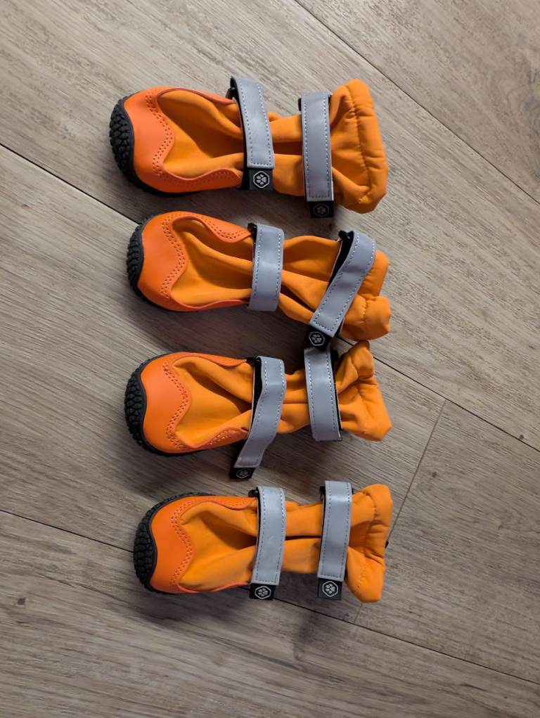 FREE dog boots