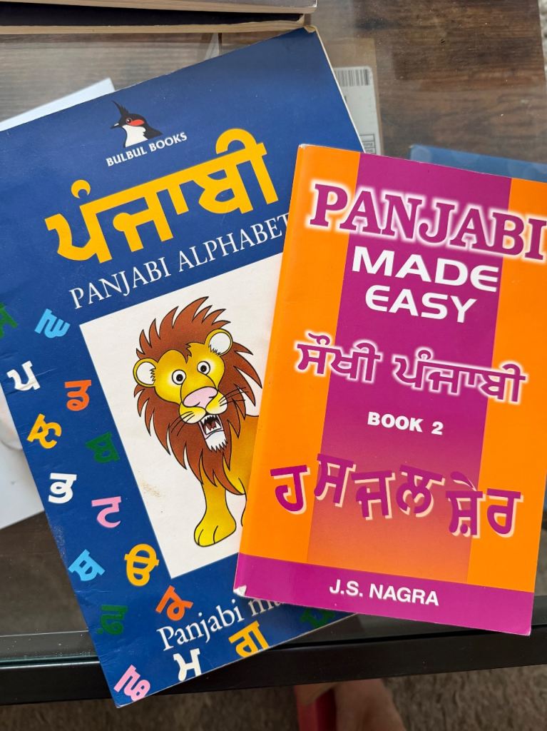 Punjabi Language Books – Alphabet & Made Easy Book 2