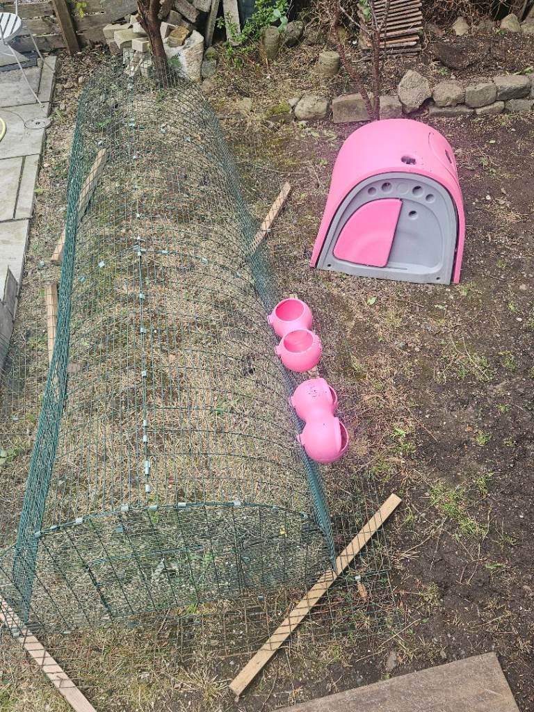 RARE DISCONTINUED PINK OMLET EGLU CLASSIC + 3M RUN & ACCESSORIES