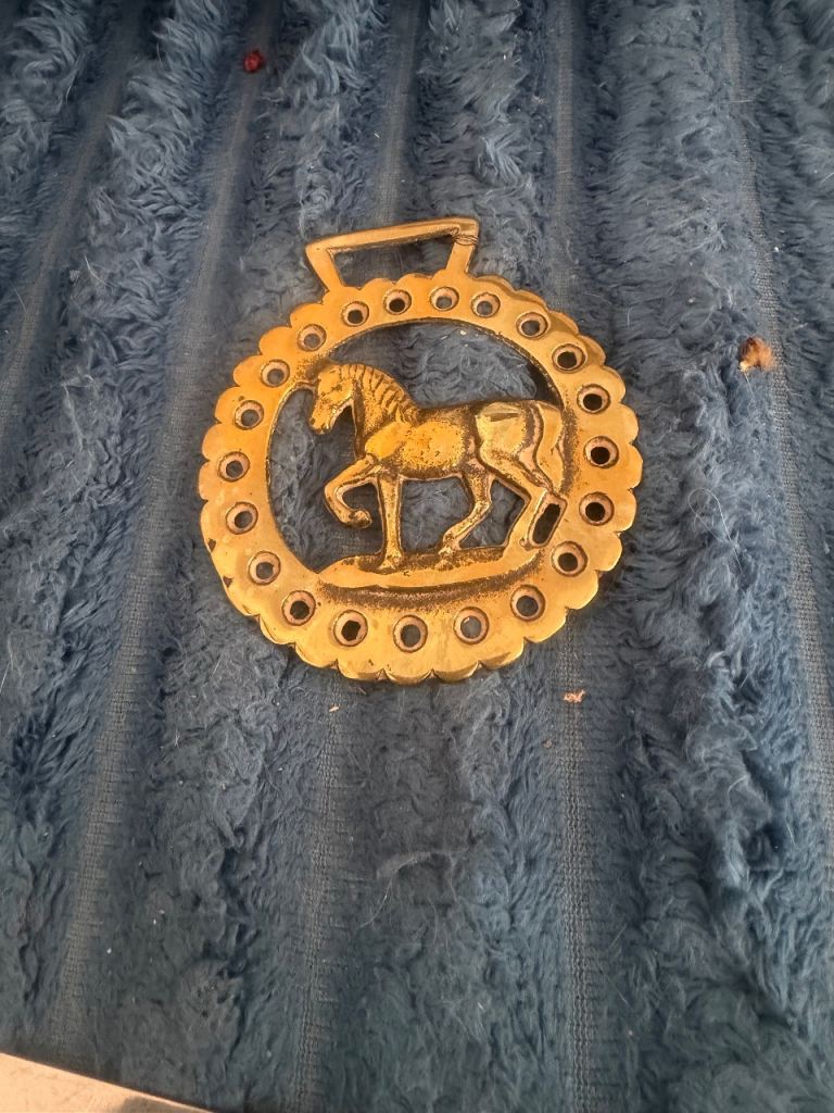 Brass horse harness medallion 