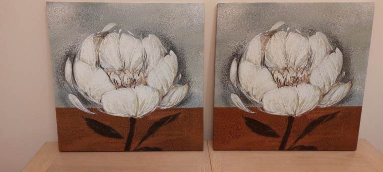 2 FLOWER CANVAS PRINTS