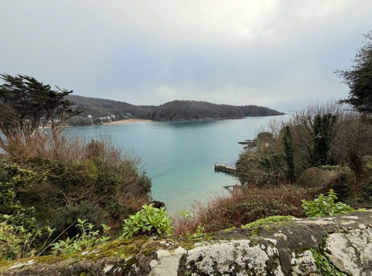 Cockapoo puppy 15 weeks