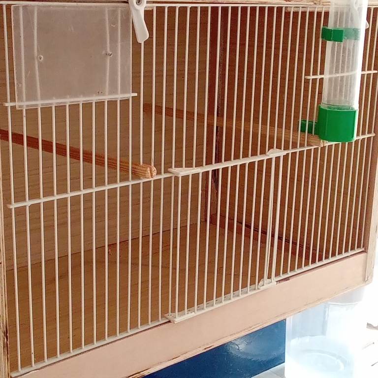 Breeding box 