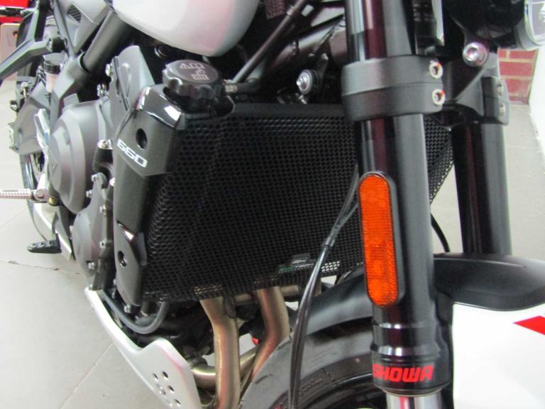 2025 Triumph Trident 660 - Triple Tribute