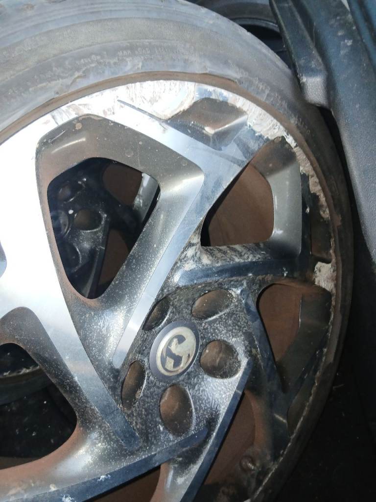 Insignia alloys