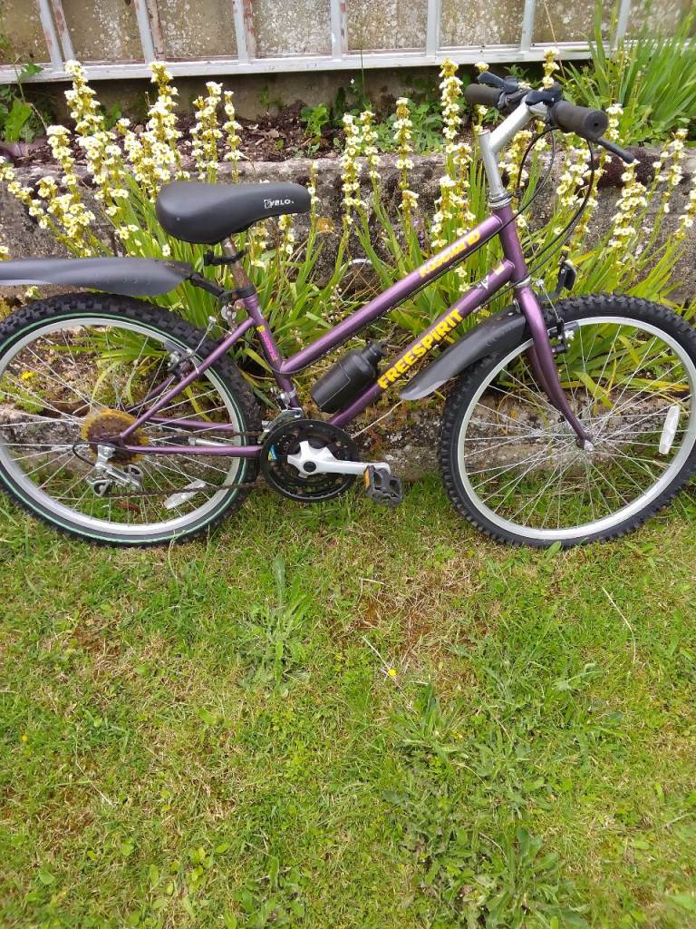 Townsend Mountain Bike – Purple, Good Condition