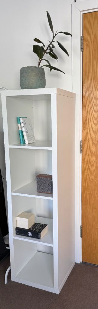 Shelving Unit 