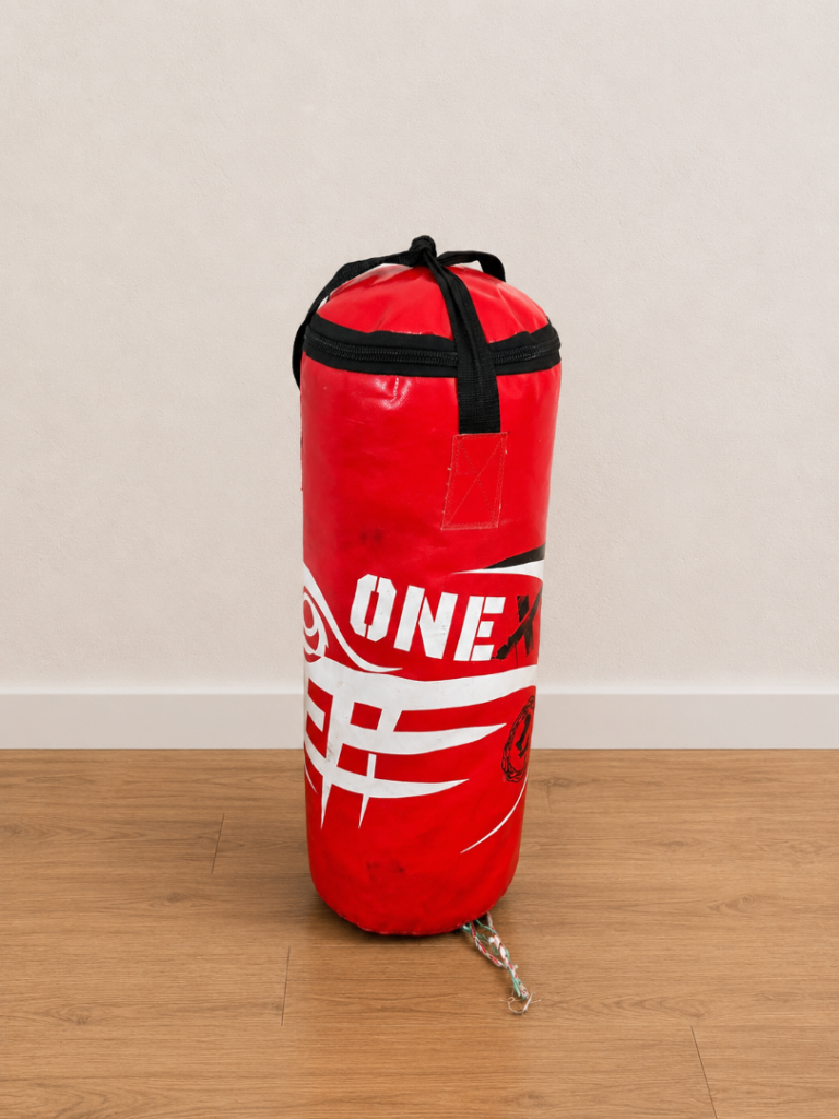 Punch Bag - Medium Size, Good Condition