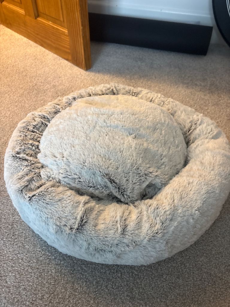 Cat bed