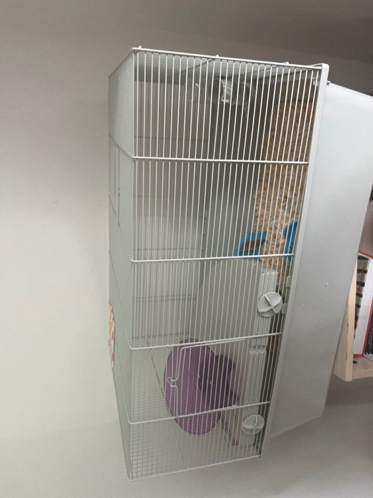 Hamster cage with accessories 