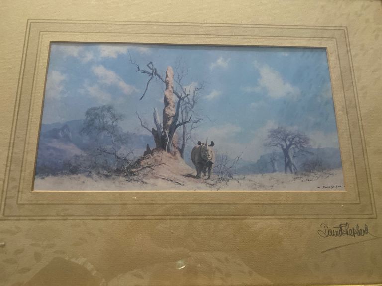 Antique/vintage signed twice David Shepard rhino print 